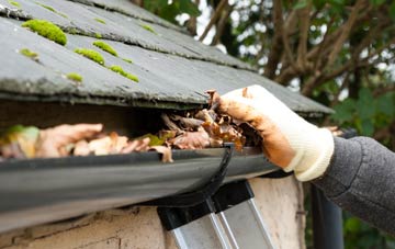 gutter cleaning Waltham