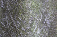 Waltham fibreglass roof work